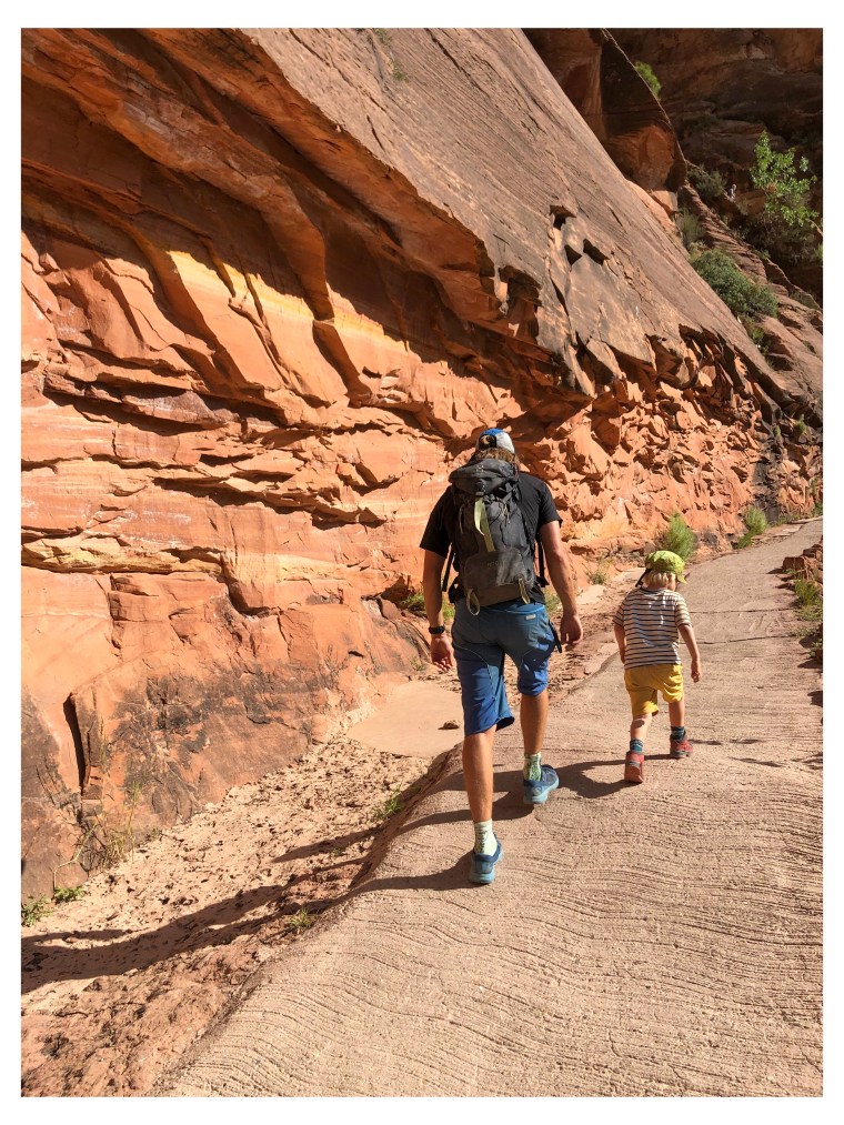 Ob die Beiden wohl verwandt sind?